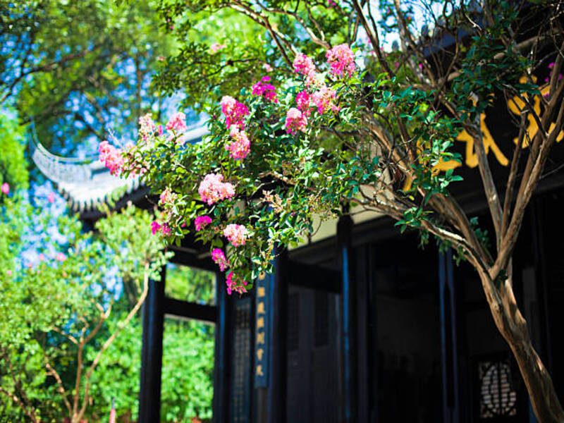 Chinese Garden