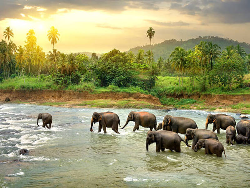 River Safari