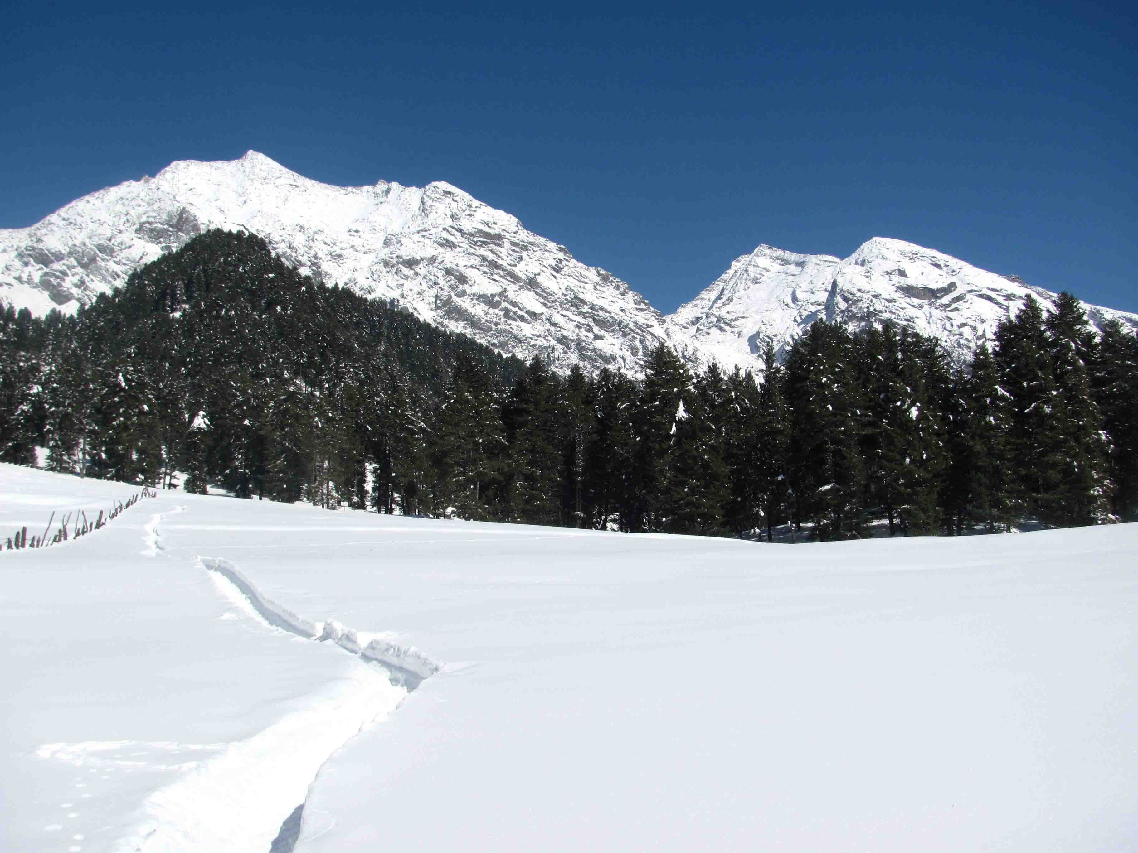 Aru Valley