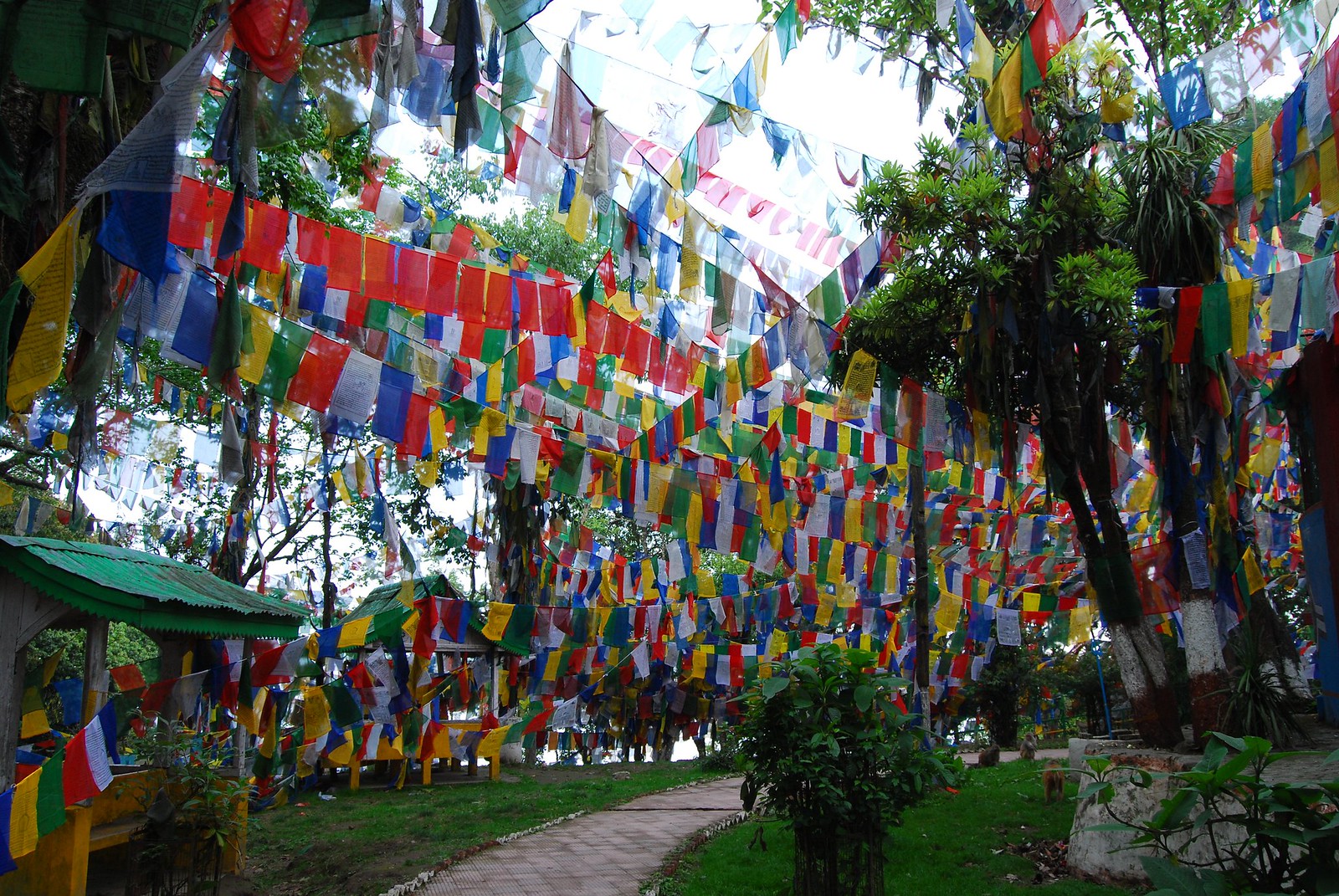 Soi Buakhao