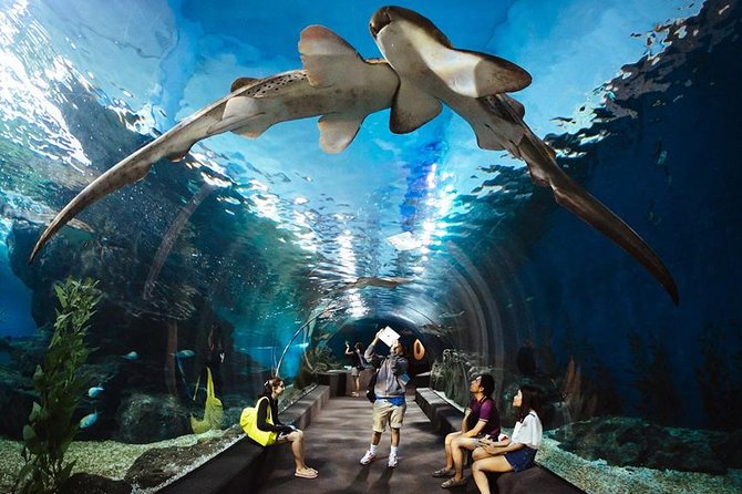Underwater World