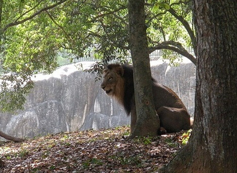 Soi Buakhao