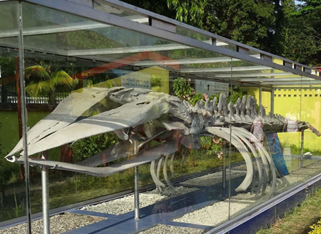 Fisheries Museum.