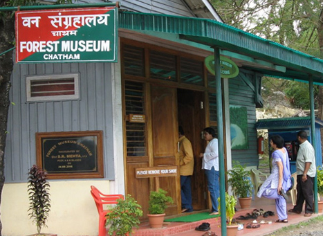 Forest Museum.