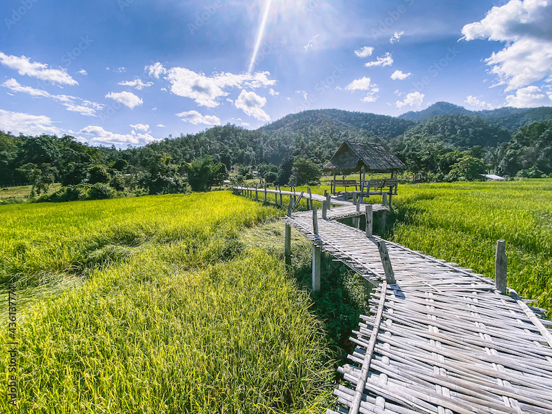 Soi Buakhao
