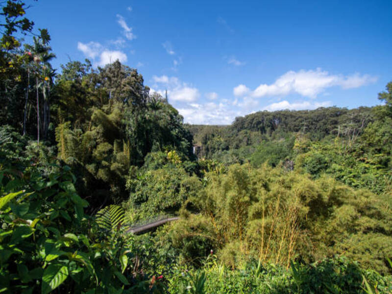 Gunung Stong State Park