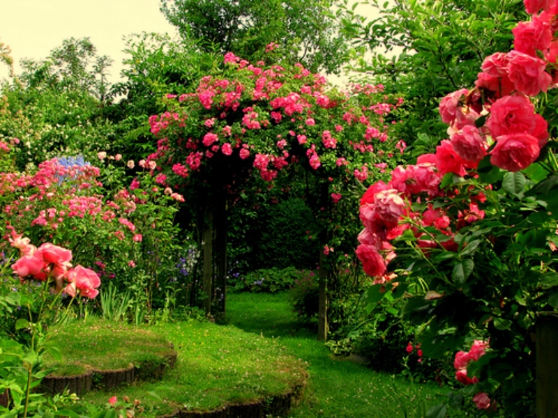 Chandigarh Rose Garden