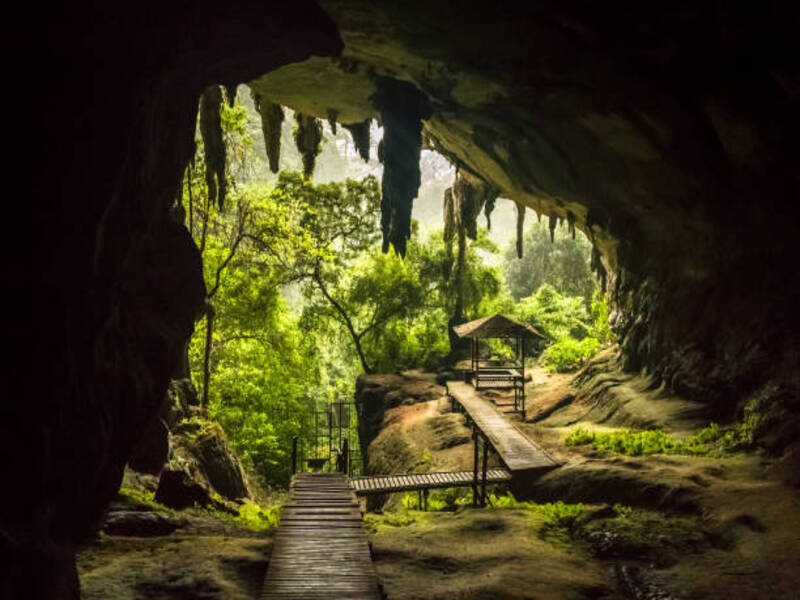 Niah Caves