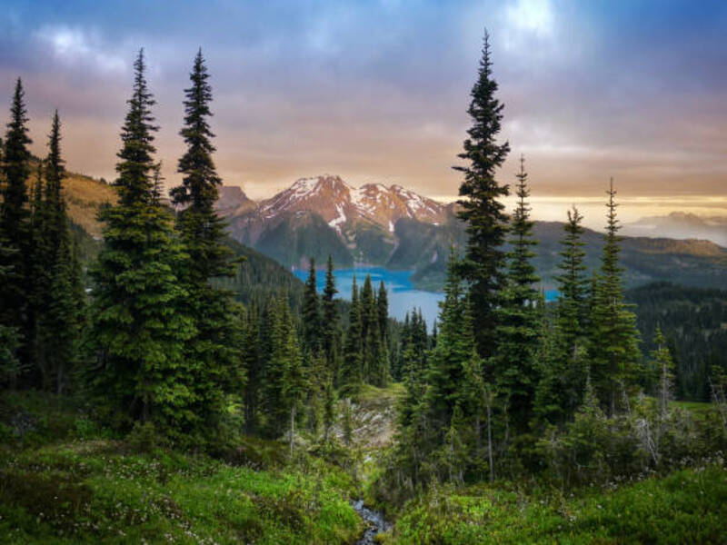 Canada Hill