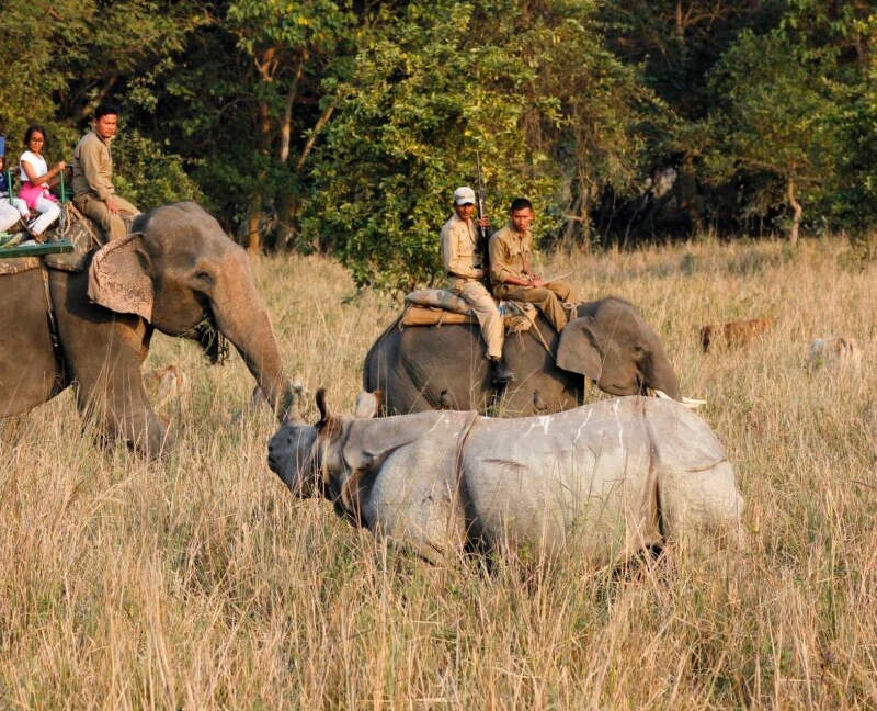Pobitra Wildlife Sanctuary
