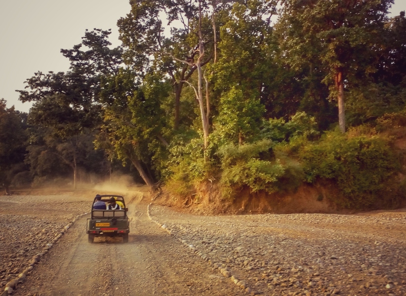 Chilla Wildlife Sanctuary