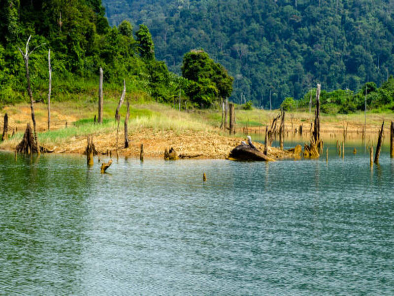 Royal Belum State Park
