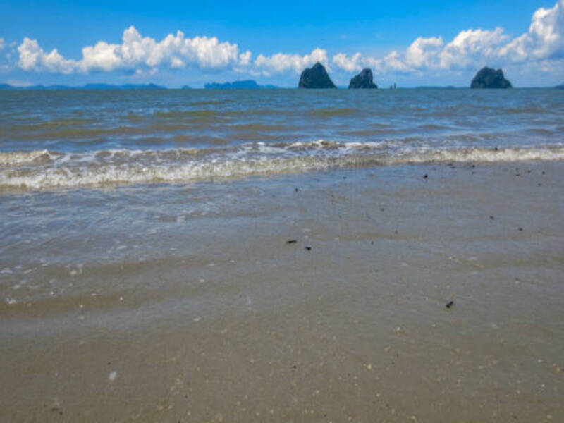 Ninh Chu Beach