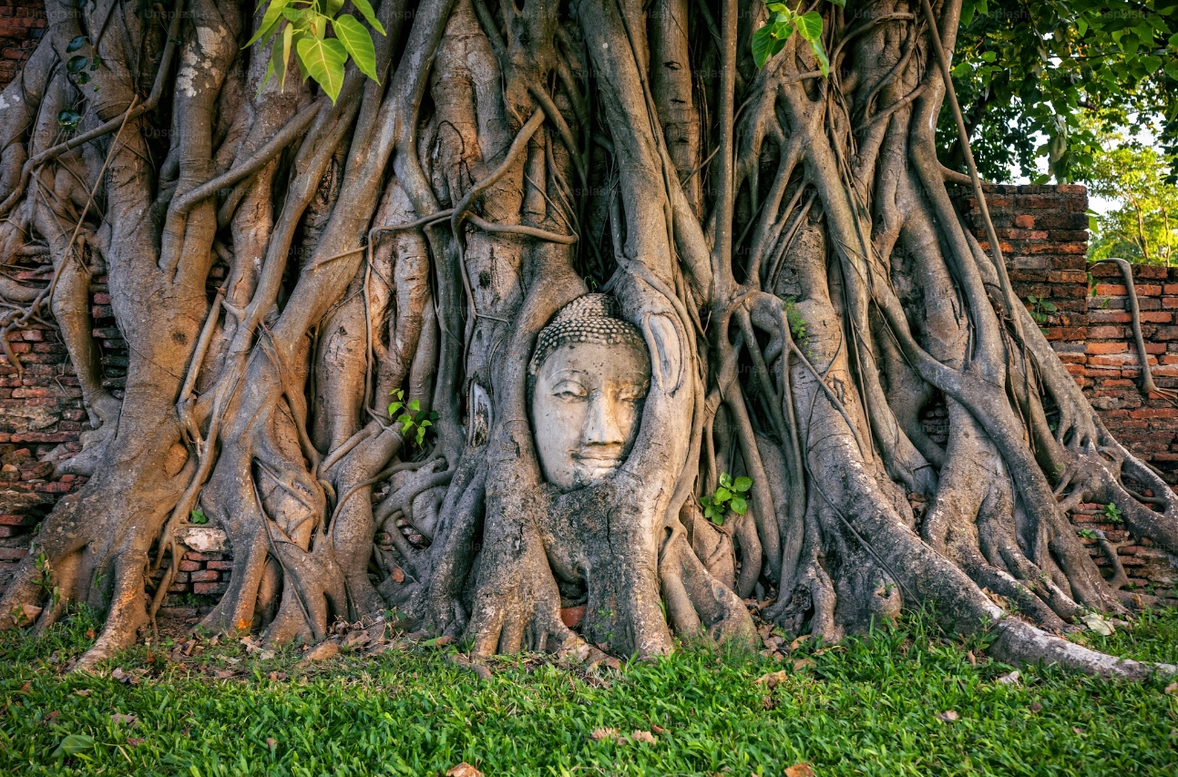Bangkok and Ayutthaya 5 Days 4 Nights Package
