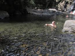Pa-La-U Waterfall and Elephant Riding (minimum 2 pax)