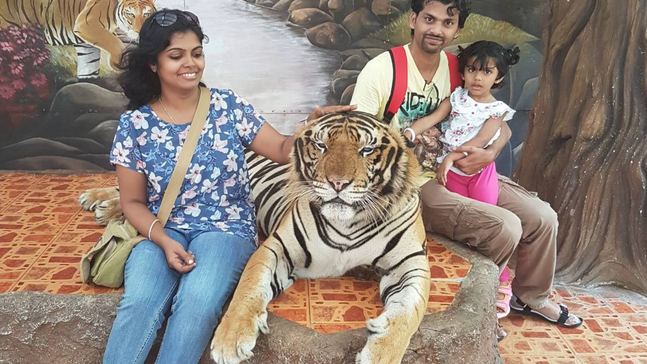 Sri Racha Zoo Ticket and Photo with Tiger