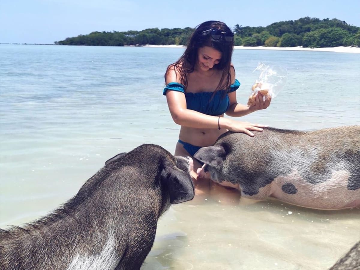 Pig Island Day Trip by Speedboat(from Koh Samui)