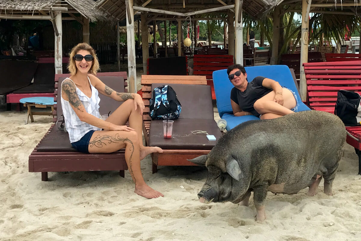Pig Island Day Trip by Speedboat(from Koh Samui)