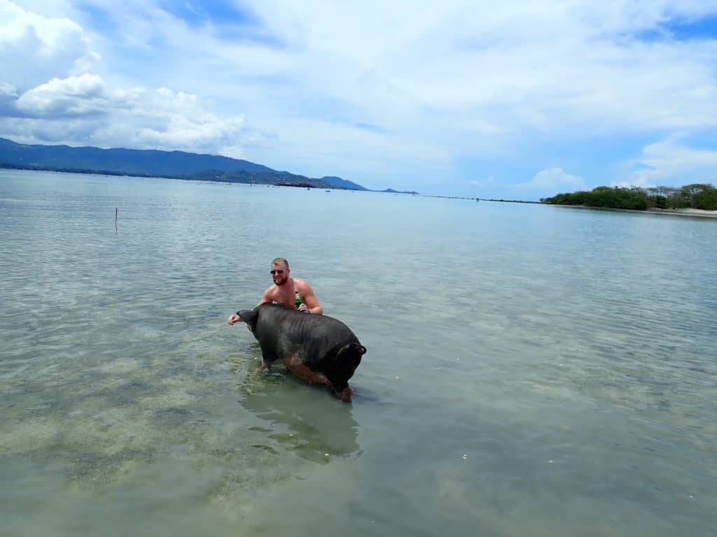 Pig Island Day Trip by Speedboat(from Koh Samui)