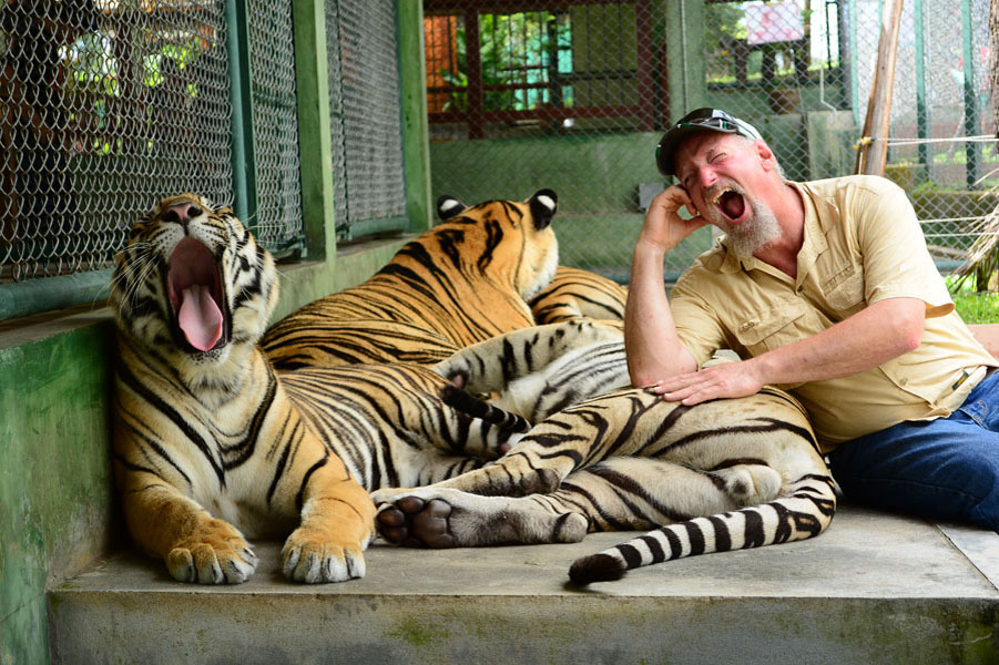 Tiger Kingdom (Smallest Tigers) with Private Transfer