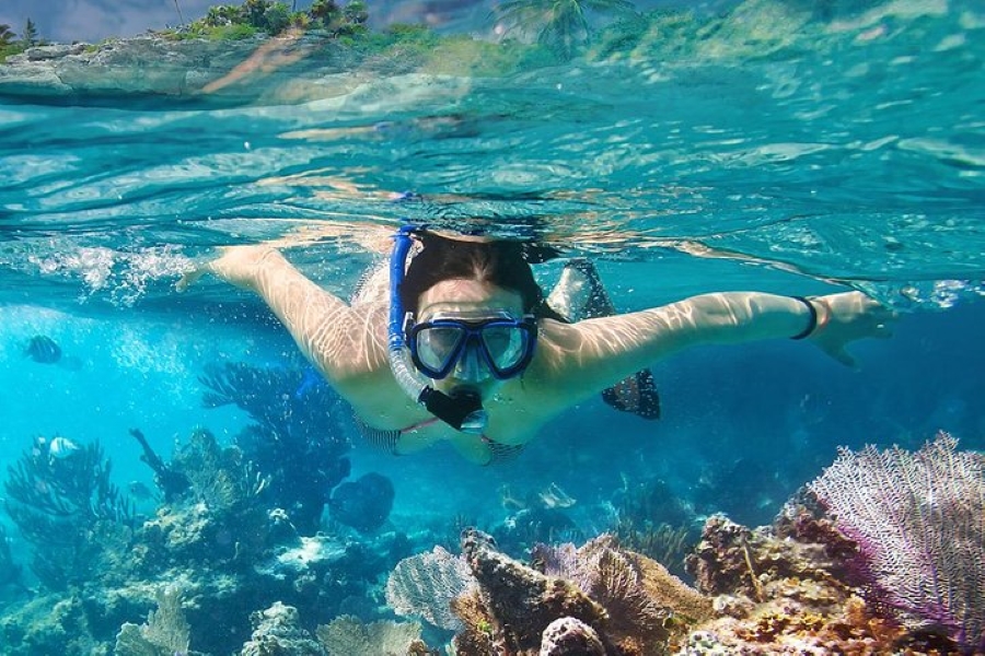 Snorkeling Trip Koh Tan - Koh Mudsum by Speedboat