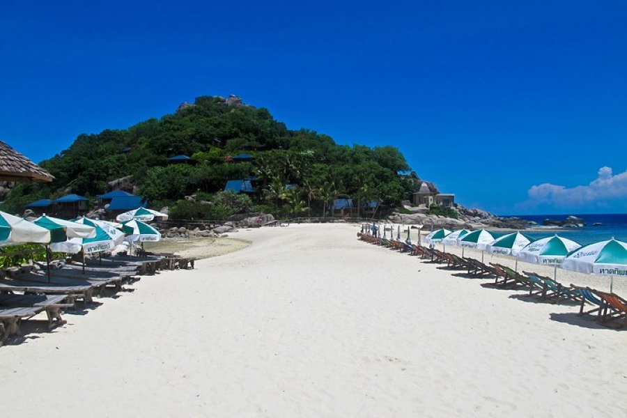 Koh Tao & Koh Nangyuan Snorkeling Tour by Speedboat from Koh Samui