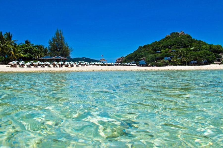 Koh Tao & Koh Nangyuan Snorkeling Tour by Speedboat from Koh Samui