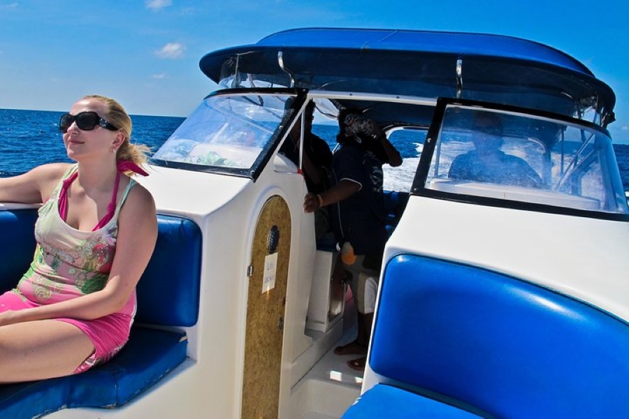 Koh Tao & Koh Nangyuan Snorkeling Tour by Speedboat from Koh Samui