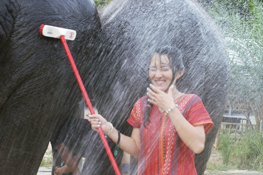 Phuket Elephant Care: Explore with Elephant