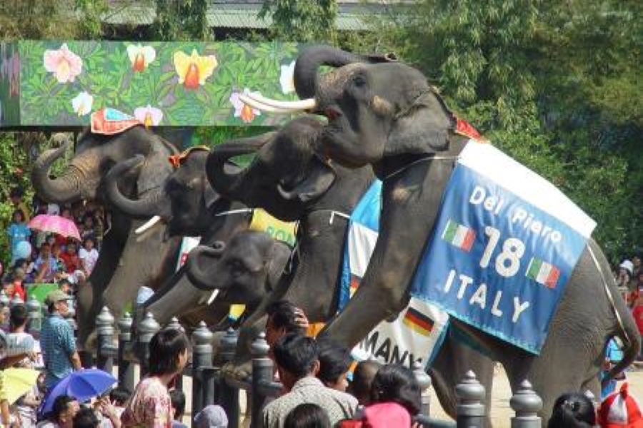 Samphran Elephant Ground and Zoo Admission Ticket