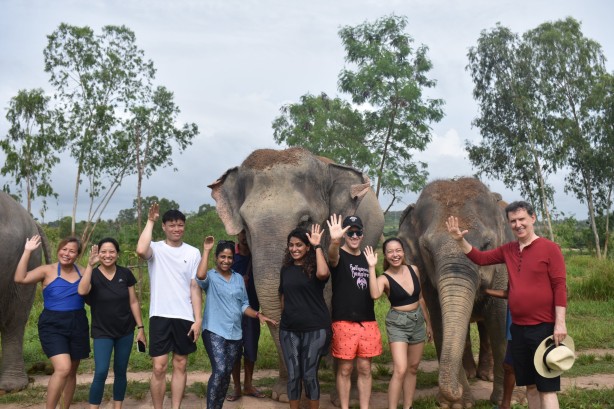 Elephant Jungle Sanctuary Pattaya “Feed Me” Program Without Transfer