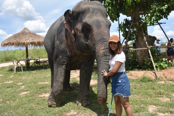 Elephant Jungle Sanctuary Pattaya “Feed Me” Program Without Transfer