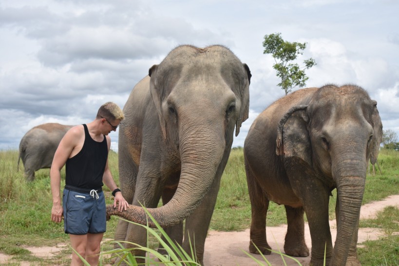 Elephant Jungle Sanctuary Pattaya “Feed Me” Program Without Transfer