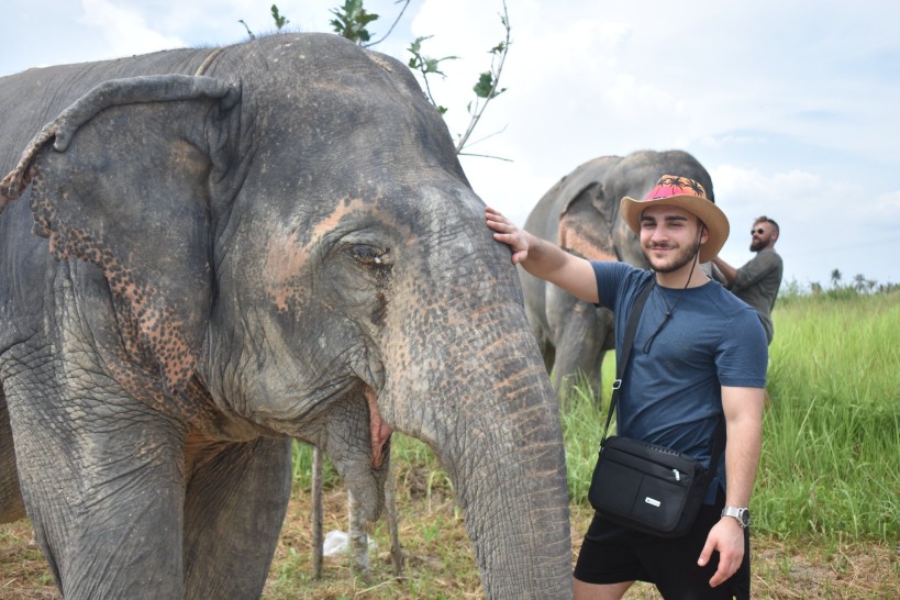 Elephant Jungle Sanctuary Pattaya “Feed Me” Program Without Transfer