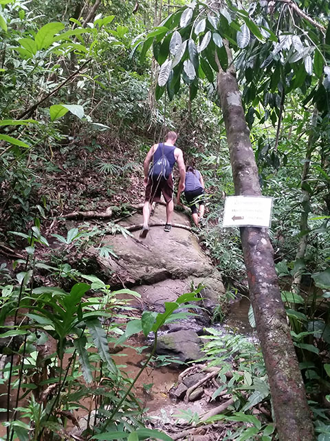 Private Wat Phra That Doi Suthep, Wat Palad, Trekking 2.5 Hr.s to Monthatarn Waterfall
