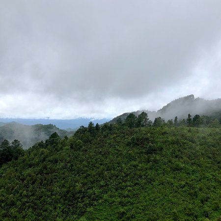 Image Name