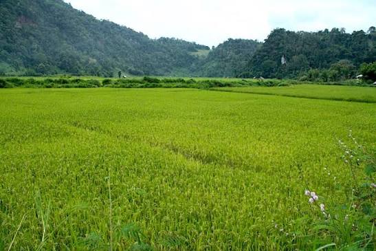 Ban Pha Mon Full Day Trekking Tour in Mae Hong Son