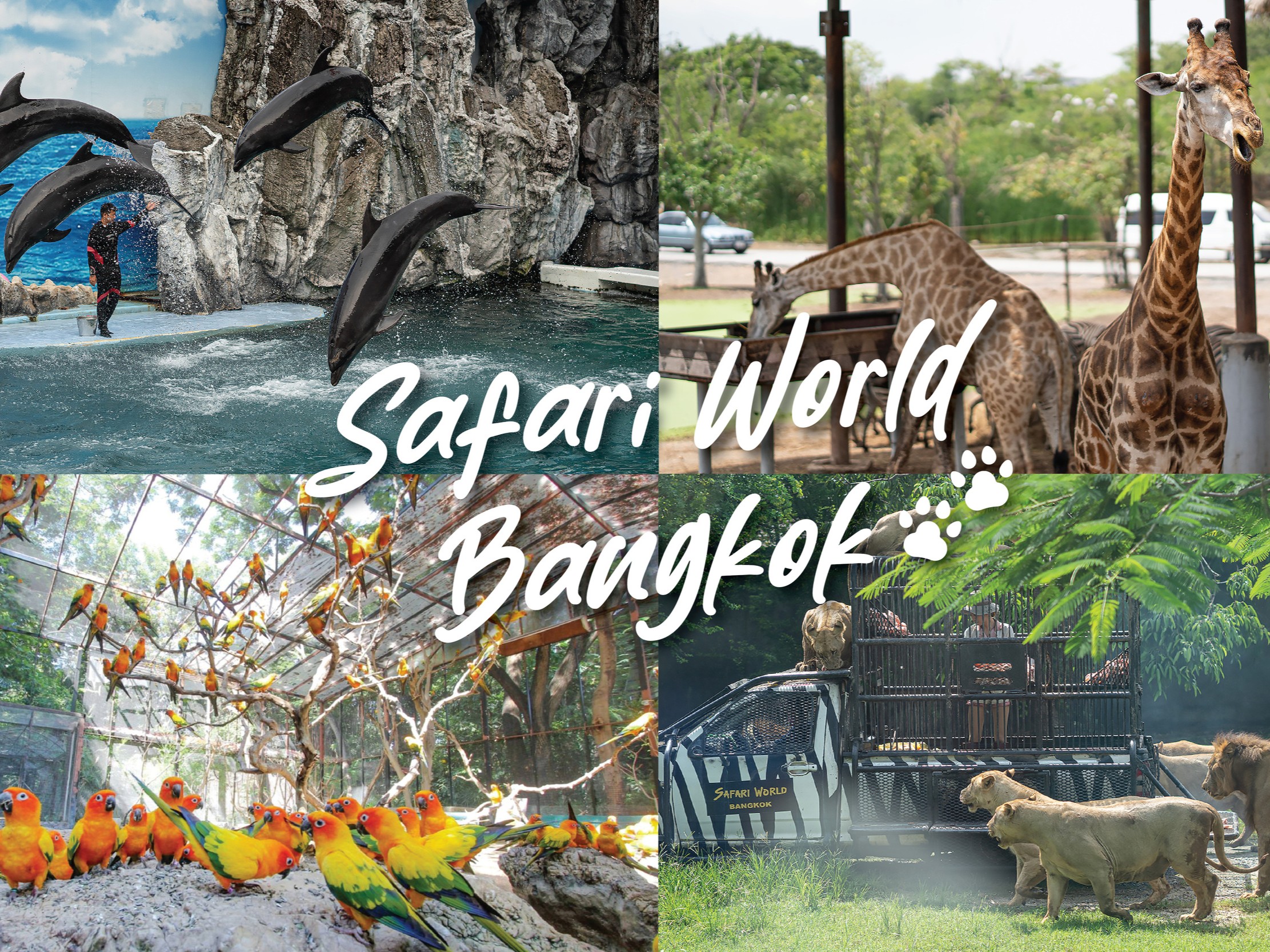 Bangkok and Pattaya - 4 Nights 5 Days Kiddi Carnival Package