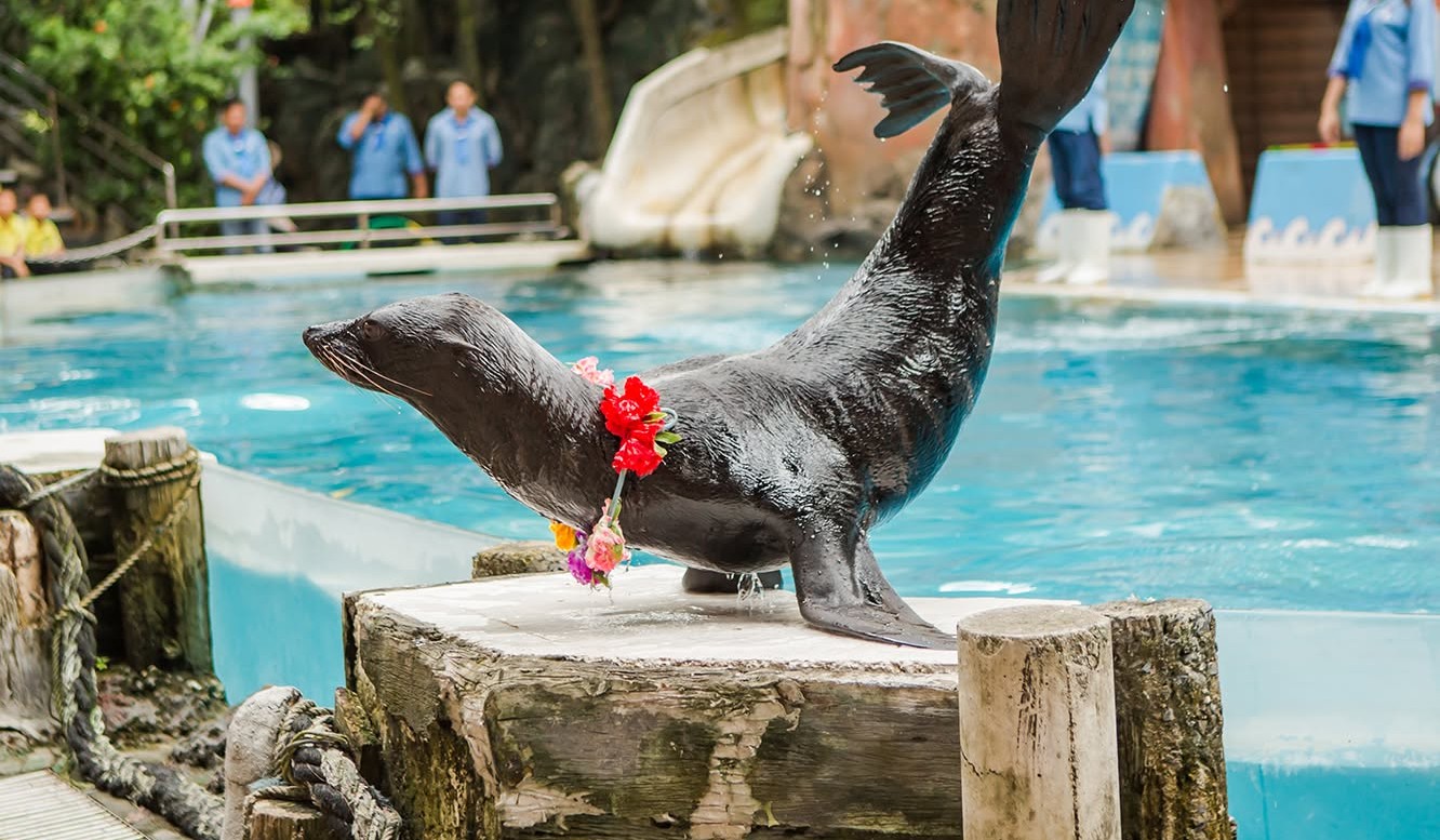 Bangkok Marine Park Admission Ticket