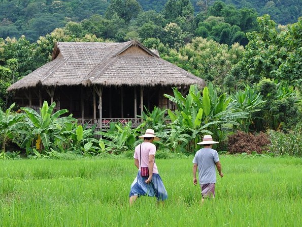 Chiang Mai: Lisu Lodge (Single Room)