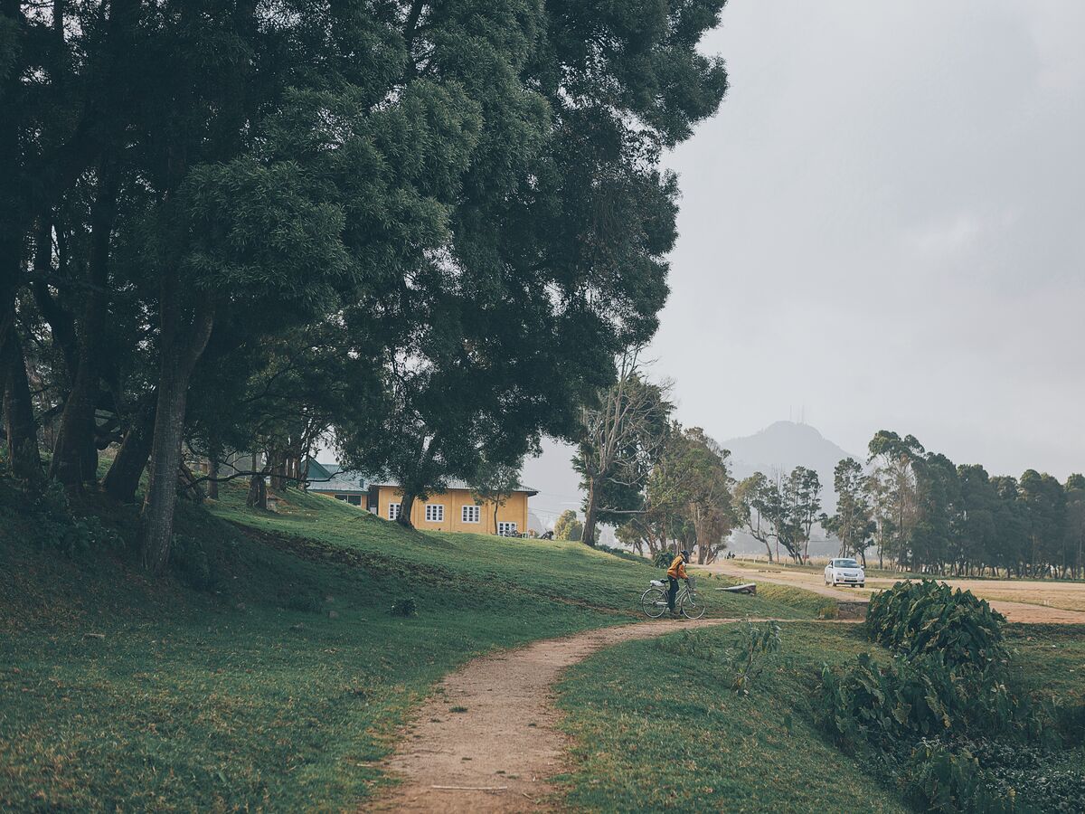 Colombo to Nuwara Eliya with Tour and Transfer