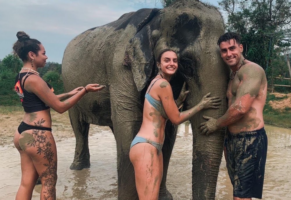 Elephant Care Camp Happy Hour: Feed and Rain Shower