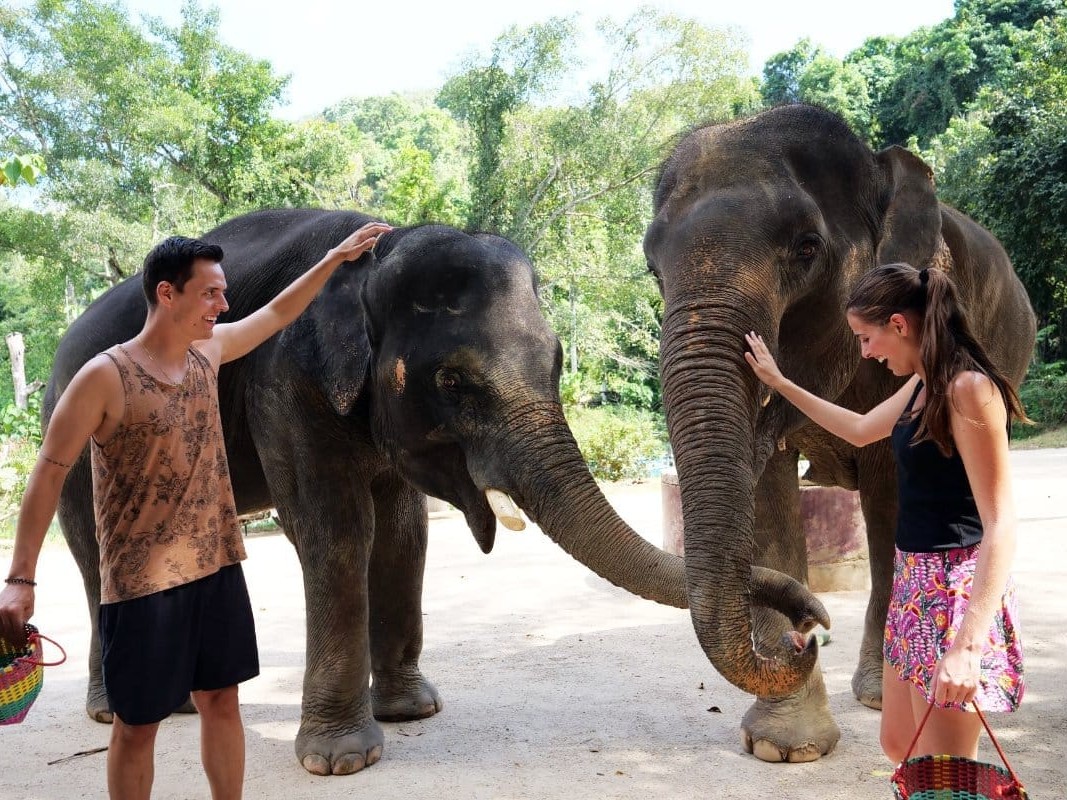 Elephant Jungle Sanctuary Phuket: Feed and Shower Experience with Private Transfer (1-8 PAX)