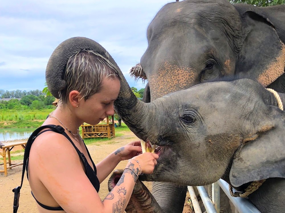 Elephant Jungle Sanctuary Phuket “Feed Me” Program with Private Transfer (1-8 PAX)