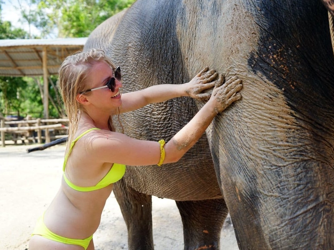 Elephant Jungle Sanctuary Phuket: Half Day Tour with Private Transfer (1-8 PAX)