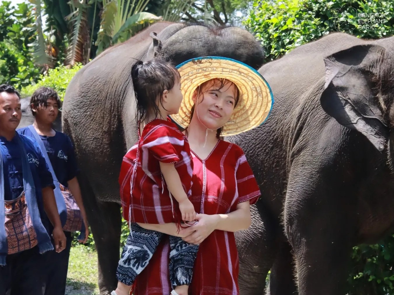 Elephant World and Kanchanaburi Tour from Bangkok