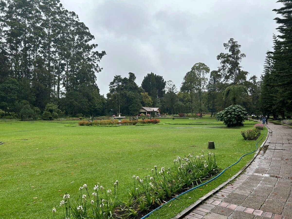 Ella to Nuwara Eliya with Transfer and Tour