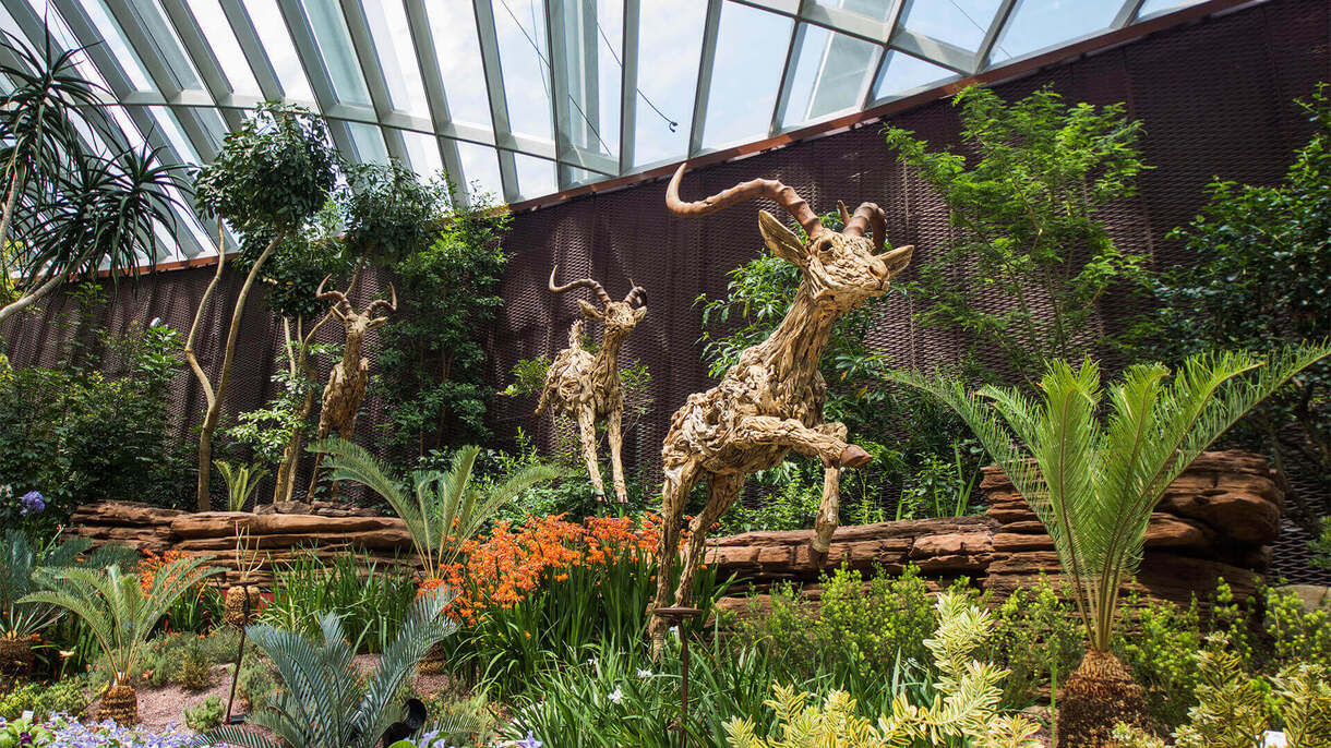 Flower Dome, Cloud Forest, Rhapsody Show and Roundtrip transfer in Garden by the bay