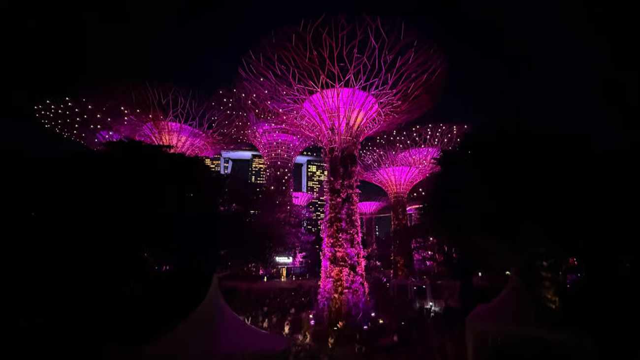 Garden by the bay: Flower dome, Cloud forest(Jurassic World), OCBC Skyway, Supertree Observatory, Rhaspody show and Marina Bay Skypark Obsevation deck (Enter before 3:30 PM)