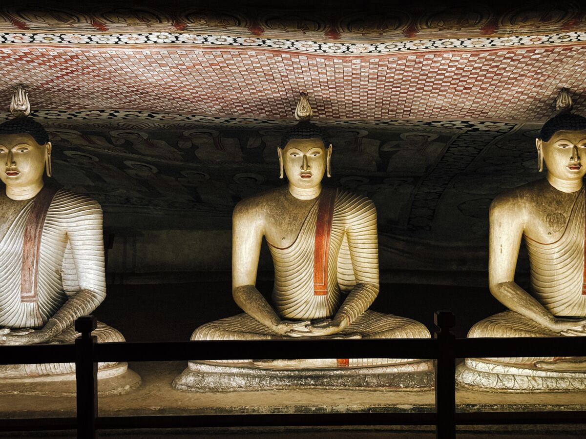 Kandy to Dambulla Tour with Transfer